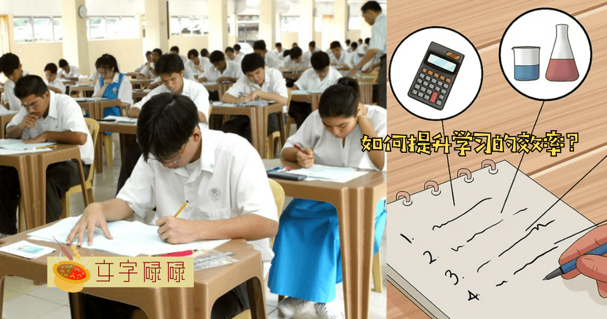 明明很努力读书了，还是拿不到好成绩，真的是因为我笨吗？ | 文字碌碌