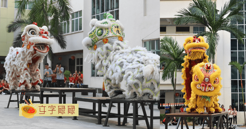 听说他们是学妹杀手？雪隆八独中的6醒狮团 | 文字碌碌