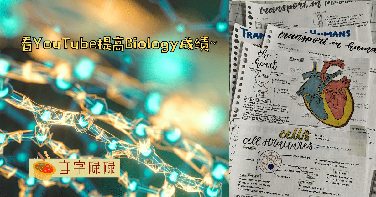 看Youtube提高Biology成绩？盘点6个中学生不容错过的Youtuber! | 文字碌碌