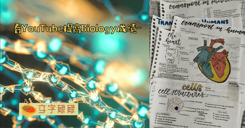看Youtube提高Biology成绩？盘点6个中学生不容错过的Youtuber! | 文字碌碌