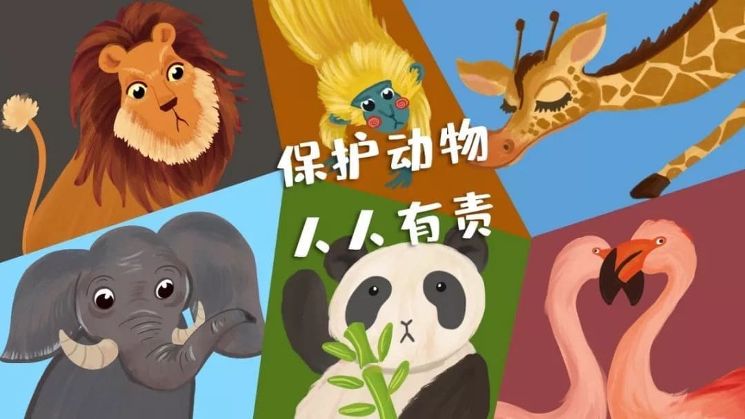 神奇!不同动物眼中的世界!原来它们都是近视眼+色盲?! | 文字碌碌 神奇!不同动物眼中的世界!原来它们都是近视眼+色盲?! | 文字碌碌
