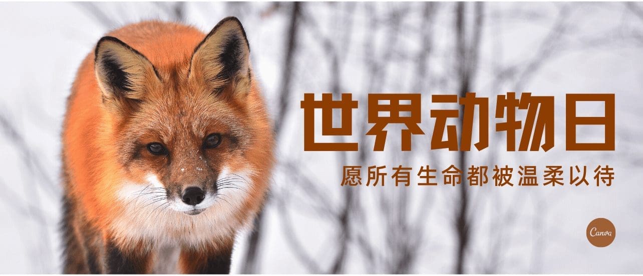 神奇!不同动物眼中的世界!原来它们都是近视眼+色盲?! | 文字碌碌 神奇!不同动物眼中的世界!原来它们都是近视眼+色盲?! | 文字碌碌