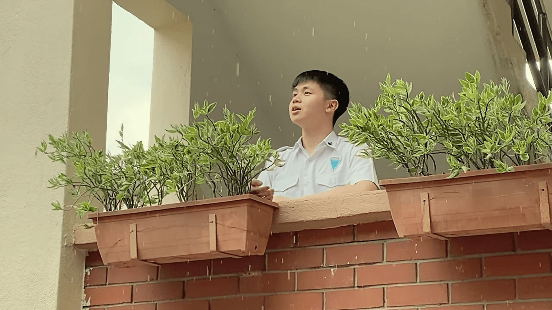 【采访】循人毕业歌《风吹过的夏天》制作人(内附链接) | 文字碌碌 【采访】循人毕业歌《风吹过的夏天》制作人(内附链接) | 文字碌碌