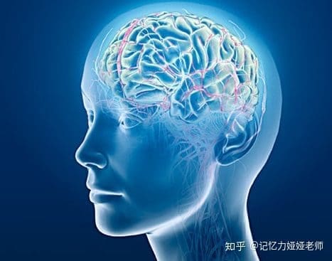 备考很痛苦?掌握这5个背书技巧让你事半功倍! | 文字碌碌 备考很痛苦?掌握这5个背书技巧让你事半功倍! | 文字碌碌