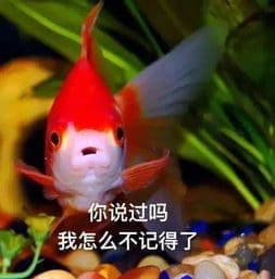 备考很痛苦?掌握这5个背书技巧让你事半功倍! | 文字碌碌 备考很痛苦?掌握这5个背书技巧让你事半功倍! | 文字碌碌