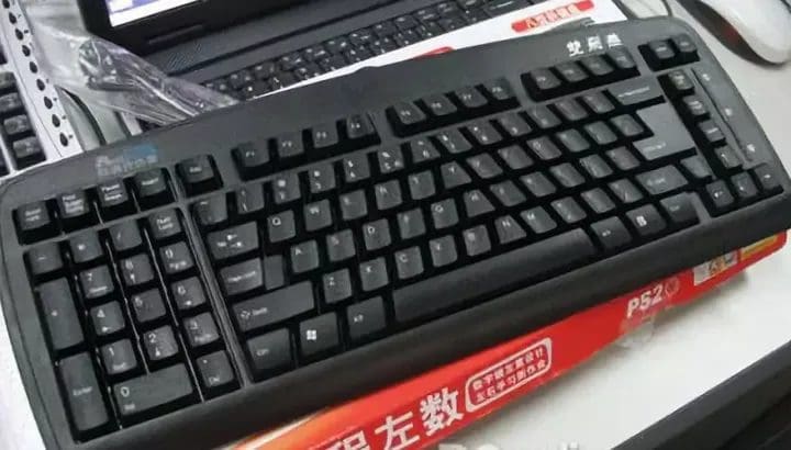 左撇子在校园中面临的挑战:一种被忽视的少数群体? | 文字碌碌 左撇子在校园中面临的挑战:一种被忽视的少数群体? | 文字碌碌