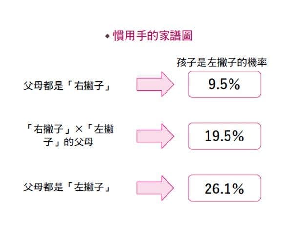 左撇子在校园中面临的挑战:一种被忽视的少数群体? | 文字碌碌 左撇子在校园中面临的挑战:一种被忽视的少数群体? | 文字碌碌
