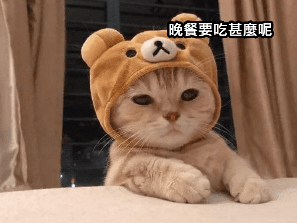 吃货必知!Headline Media 正式推出全新美食频道 Onlyfood Kl! | 文字碌碌 吃货必知!Headline Media 正式推出全新美食频道 Onlyfood Kl! | 文字碌碌