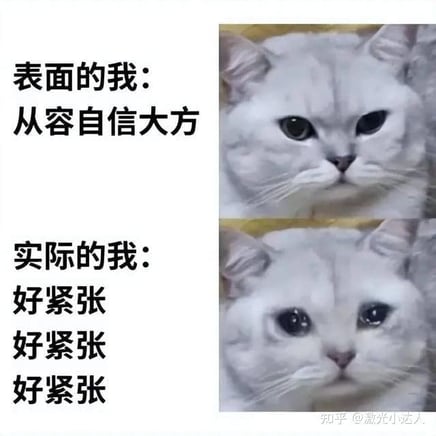 内向者的魅力:揭秘内向同学的七个隐秘武器! | 文字碌碌 内向者的魅力:揭秘内向同学的七个隐秘武器! | 文字碌碌