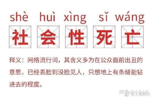 内向者的魅力:揭秘内向同学的七个隐秘武器! | 文字碌碌 内向者的魅力:揭秘内向同学的七个隐秘武器! | 文字碌碌