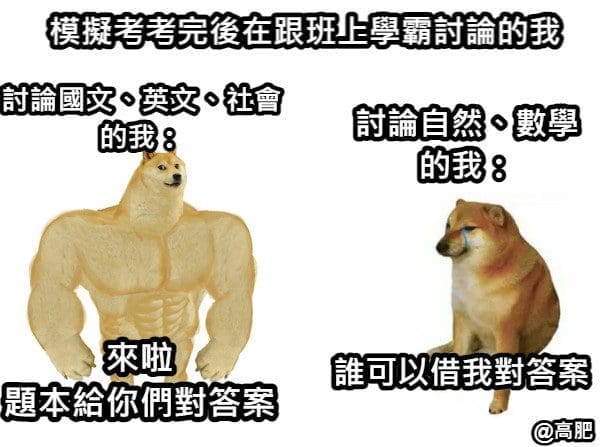 听说每个班都一定会有偏科战神?盘点那些偏科战神的痛! | 文字碌碌 听说每个班都一定会有偏科战神?盘点那些偏科战神的痛!