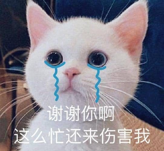 这几个不经意的小动作瞬间提升自身教养!素未谋面也要给别人留下好印象~ | 文字碌碌 这几个不经意的小动作瞬间提升自身教养!素未谋面也要给别人留下好印象~
