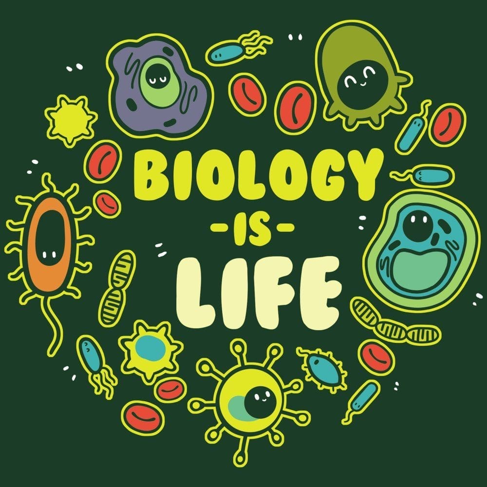 看Youtube提高Biology成绩?盘点6个中学生不容错过的Youtuber! | 文字碌碌 看Youtube提高Biology成绩?盘点6个中学生不容错过的Youtuber! | 文字碌碌