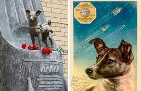 11月,世界各地都在庆祝什么节日? | 文字碌碌 11月,世界各地都在庆祝什么节日? | 文字碌碌