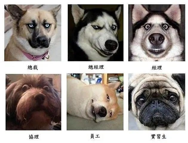 大学毕业前学生必知!不懂这10件事情肯定会后悔! | 文字碌碌 大学毕业前学生必知!不懂这10件事情肯定会后悔! | 文字碌碌
