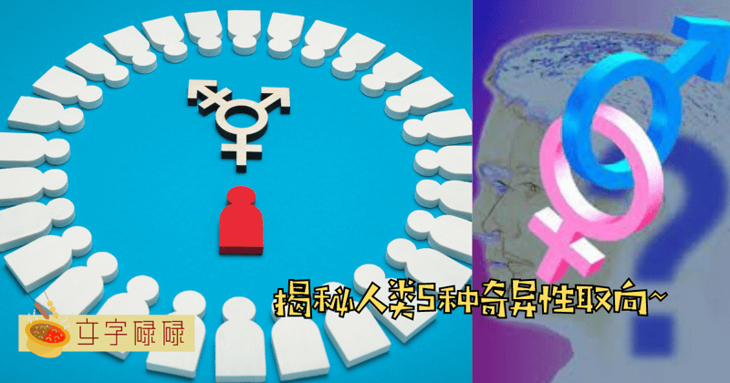 揭秘人类5种奇异性取向：原来我们不止有异性恋、同性恋、双性恋！ | 文字碌碌