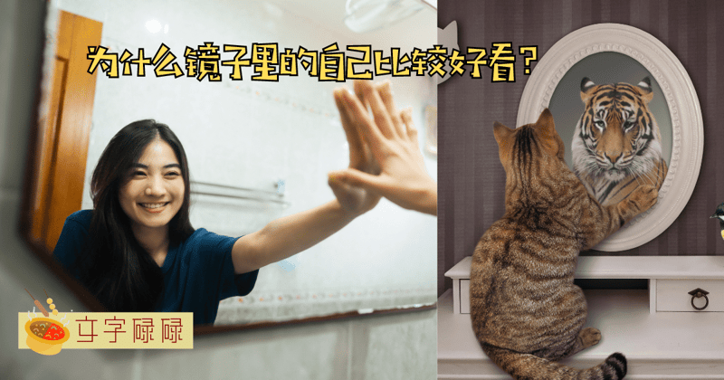 总是觉得镜子里的自己比较好看？拍照突然变丑？4个原因来告诉你为什么！ | 文字碌碌