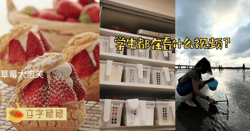 如今的学生都在刷什么视频？修马蹄？物品收纳？带你看看现代学生最爱的视频！ | 文字碌碌