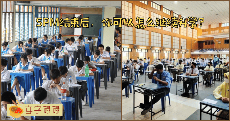 Spm结束后你有多少条路可以走？适合你的到底是哪一个？ | 文字碌碌