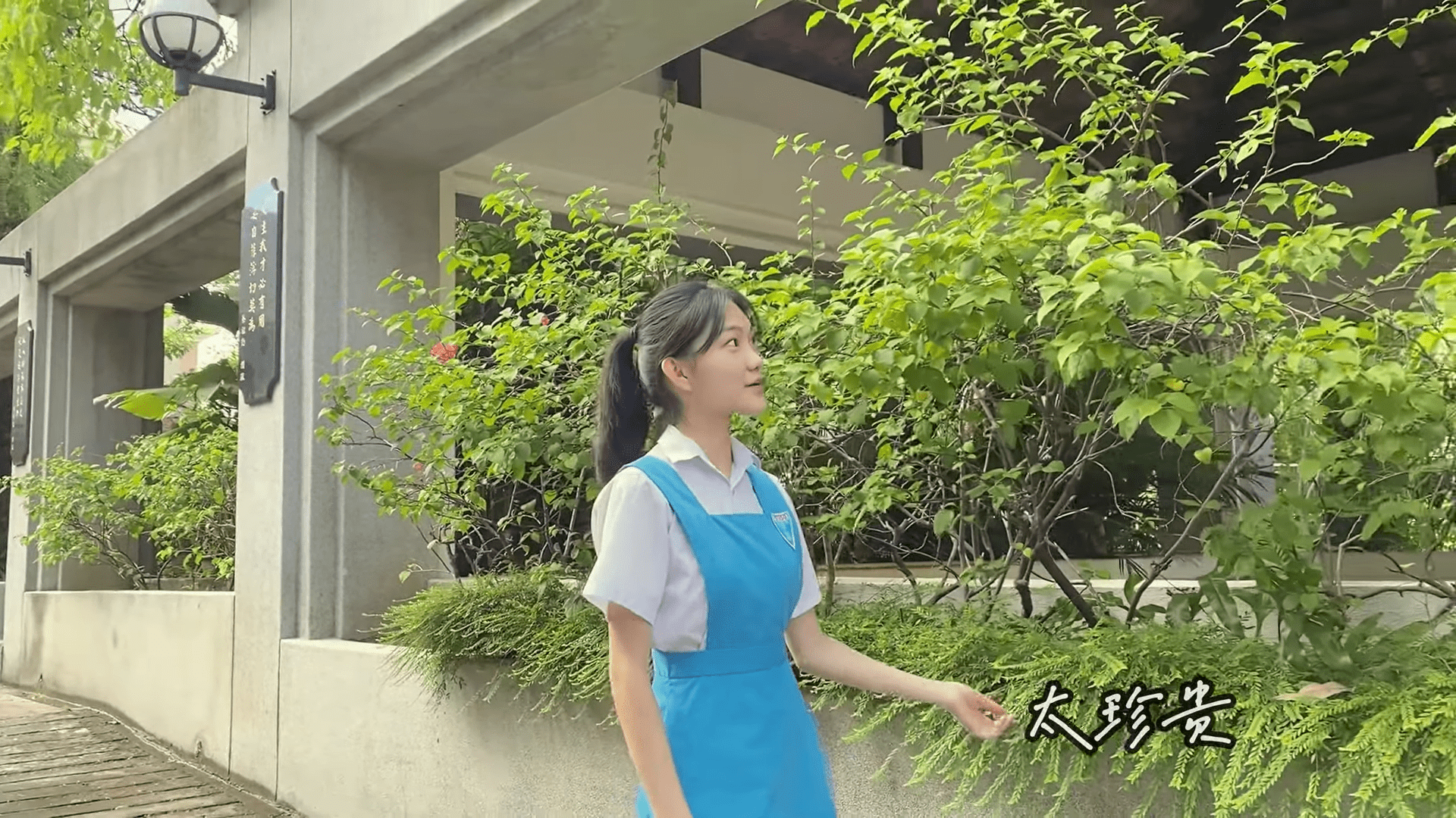 【采访】循人毕业歌《风吹过的夏天》制作人(内附链接) | 文字碌碌 【采访】循人毕业歌《风吹过的夏天》制作人(内附链接) | 文字碌碌