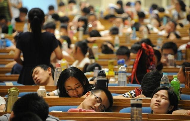 “理想不能当饭吃,我该怎么选科系!” | 文字碌碌 “理想不能当饭吃,我该怎么选科系!” | 文字碌碌