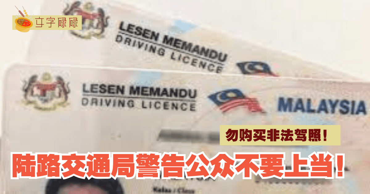 陆路交通局警告公众不要上当，购买非法驾照！