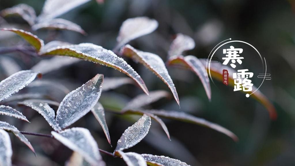 秋季节气:马来西亚不曾拥有的时间...... | 文字碌碌 秋季节气:马来西亚不曾拥有的时间...... | 文字碌碌