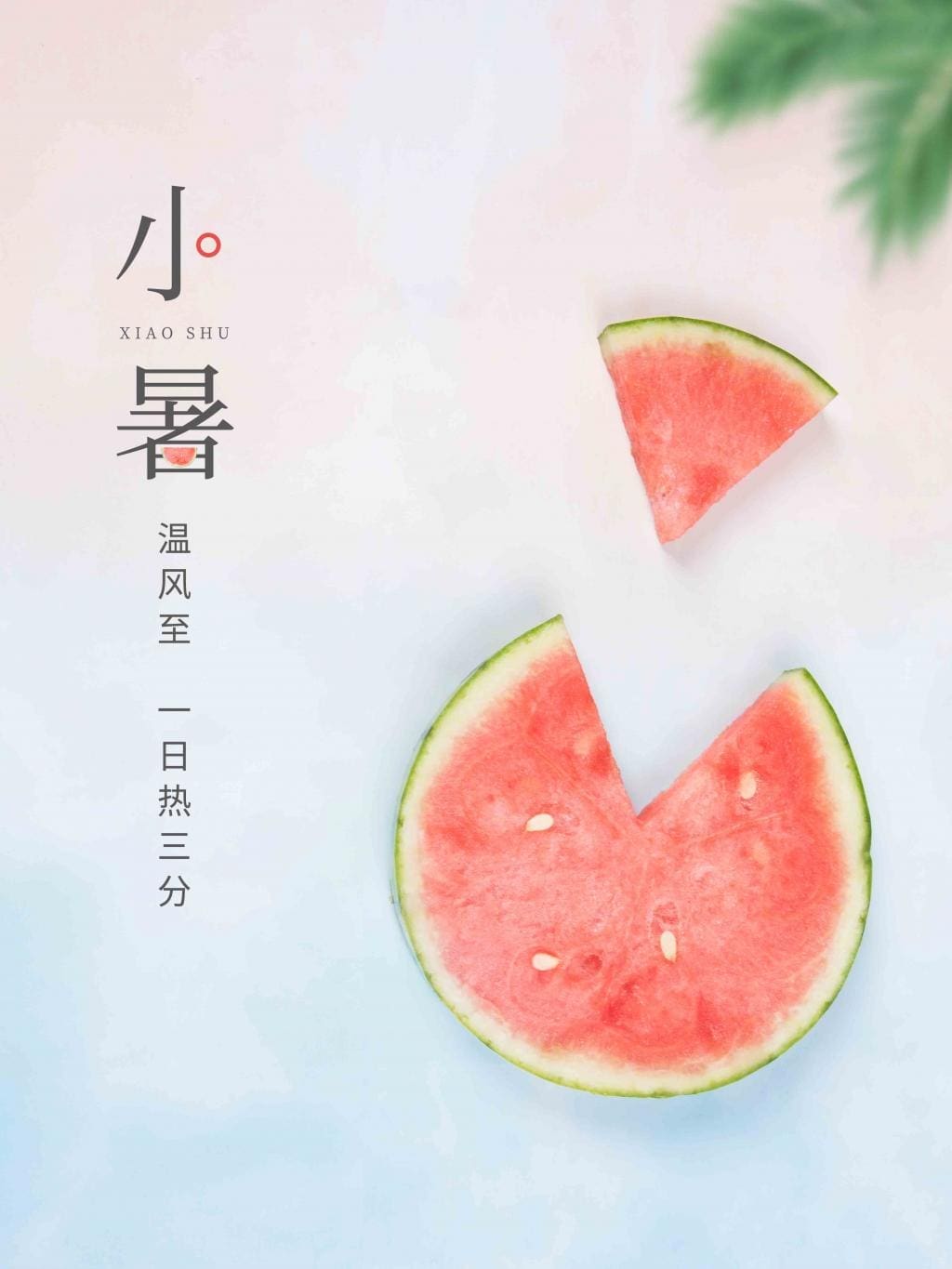 小满?芒种?大暑?你一定不了解夏季的6个节气! | 文字碌碌 小满?芒种?大暑?你一定不了解夏季的6个节气! | 文字碌碌