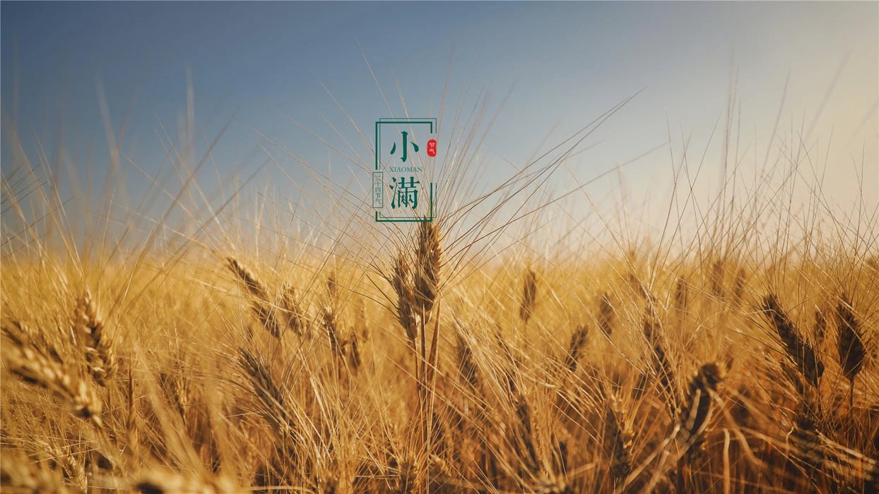 小满?芒种?大暑?你一定不了解夏季的6个节气! | 文字碌碌 小满?芒种?大暑?你一定不了解夏季的6个节气! | 文字碌碌