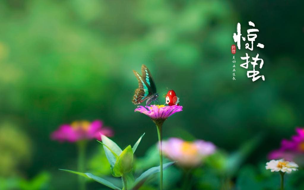 你以为是立春的时候立蛋?你肯定不知道春季的6个节气! | 文字碌碌 你以为是立春的时候立蛋?你肯定不知道春季的6个节气! | 文字碌碌