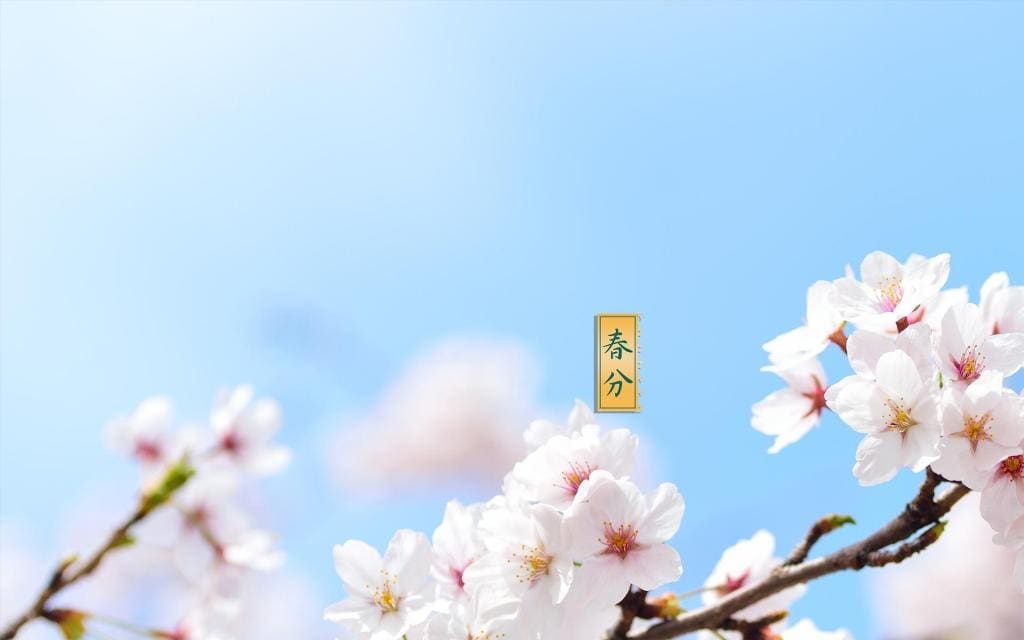 你以为是立春的时候立蛋?你肯定不知道春季的6个节气! | 文字碌碌 你以为是立春的时候立蛋?你肯定不知道春季的6个节气! | 文字碌碌