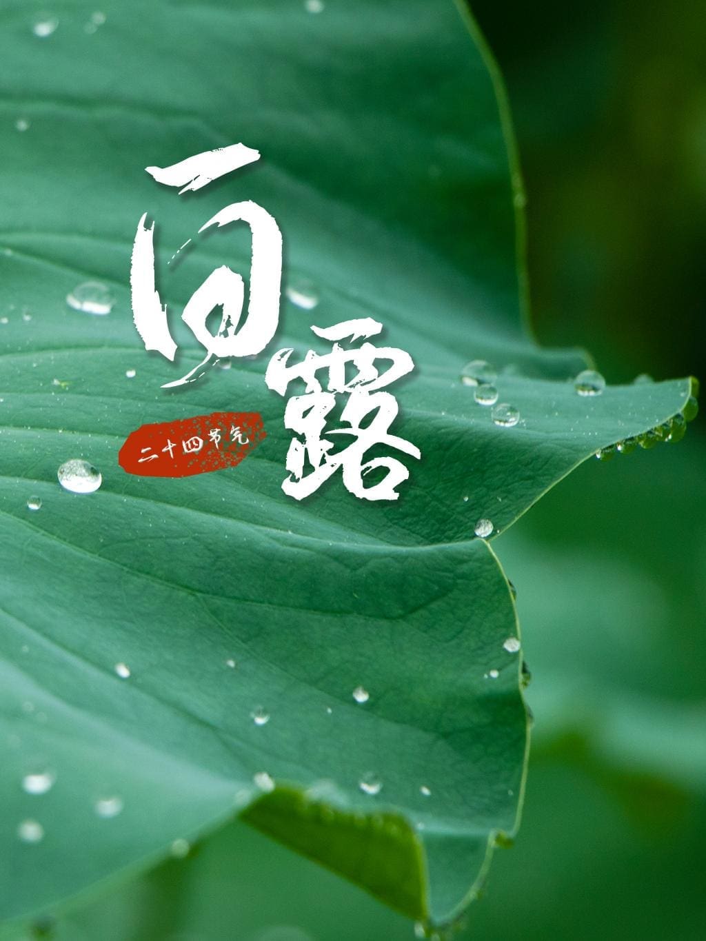 秋季节气:马来西亚不曾拥有的时间...... | 文字碌碌 秋季节气:马来西亚不曾拥有的时间...... | 文字碌碌