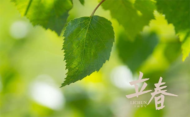 你以为是立春的时候立蛋?你肯定不知道春季的6个节气! | 文字碌碌 你以为是立春的时候立蛋?你肯定不知道春季的6个节气! | 文字碌碌