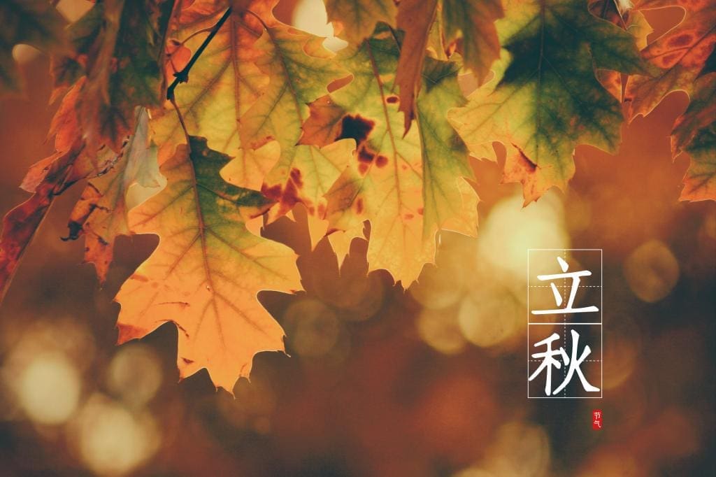 秋季节气:马来西亚不曾拥有的时间...... | 文字碌碌 秋季节气:马来西亚不曾拥有的时间...... | 文字碌碌