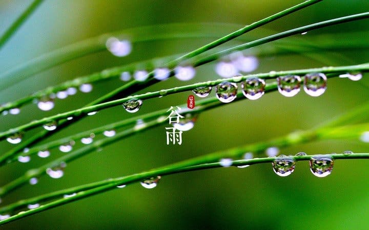 你以为是立春的时候立蛋?你肯定不知道春季的6个节气! | 文字碌碌 你以为是立春的时候立蛋?你肯定不知道春季的6个节气! | 文字碌碌