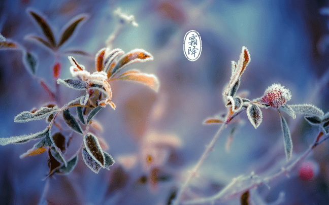 秋季节气:马来西亚不曾拥有的时间...... | 文字碌碌 秋季节气:马来西亚不曾拥有的时间...... | 文字碌碌