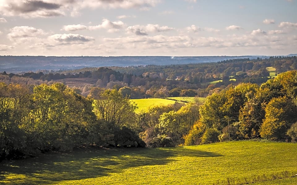 Views over the Surrey Hills