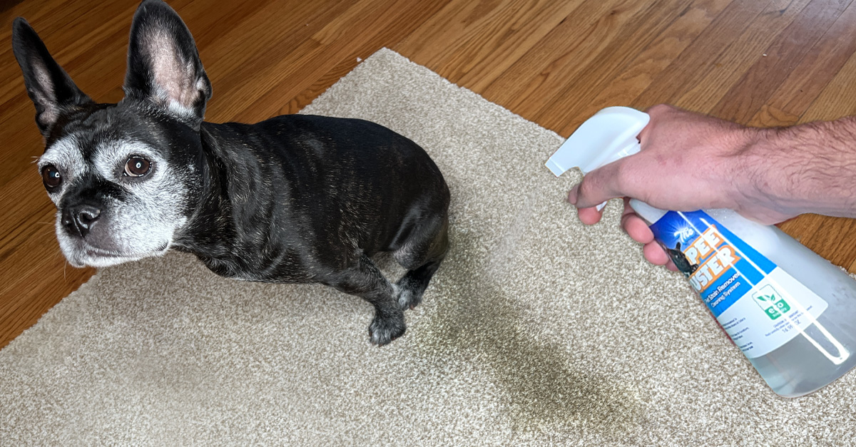 Pee Buster Pet Stain Remover