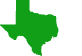 Texas state icon