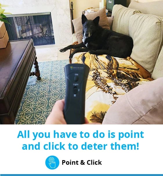 Point & Click