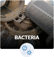 Mold