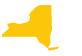 New York state icon