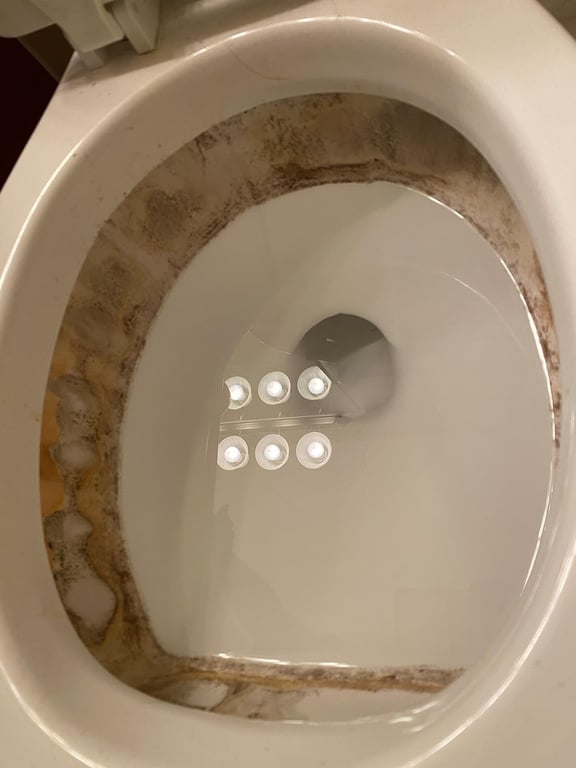 Nasty Toilet