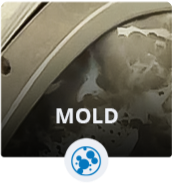 Mold