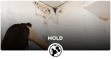 Mold