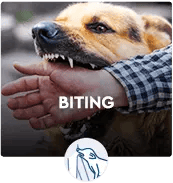 BITING