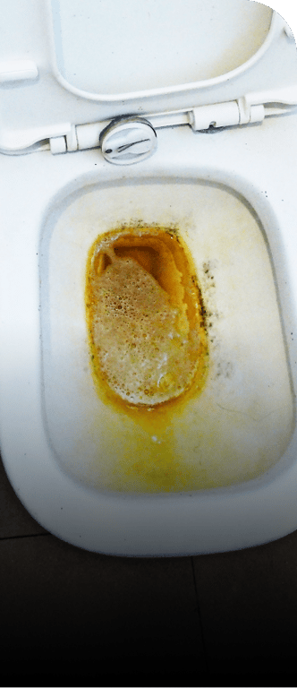 img1