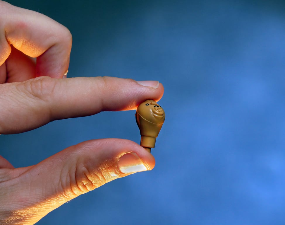 Oricle OTC Hearing Aid Demo