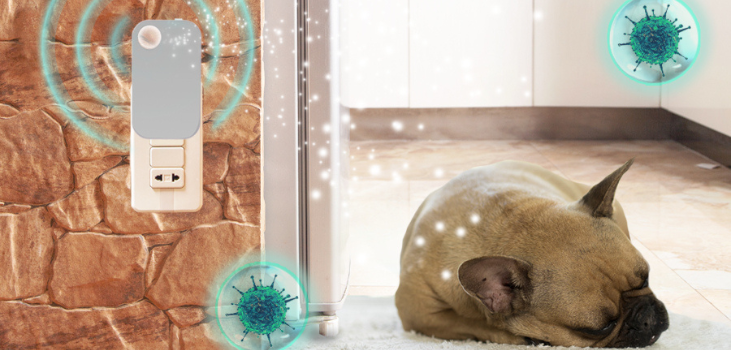 Ion Pure Ionizer