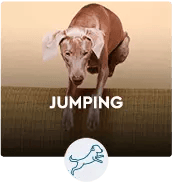 JUMPING